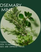 Aveda Rosemary Mint Purifying Shampoo дълбоко почистващ шампоан за блясък 1000 мл.