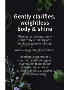 Aveda Rosemary Mint Weightless Conditioner нежен балсам-грижа за блясък и мекота на косата 50 мл.