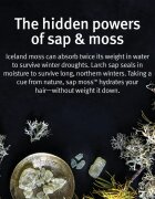 Aveda Sap Moss™ Weightless Hydrating Conditioner хидратиращ балсам против цъфтене 200 мл.