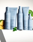 Aveda Smooth Infusion™ Perfect Blow Dry изглаждащ спрей за сешоар против цъфтене 50 мл.
