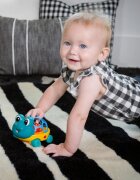 Baby Einstein Neptune the Turtle™ Curious Car кола с дрънкалка 3 m+ 1 бр.