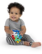 Baby Einstein Ocean Explorers Sea of Sensory Teether Toy гризалка 3 m+ 1 бр.