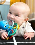 Baby Einstein Opus's Shake & Soothe Teether Toy & Rattle гризалка с дрънкалка 0 m+ 1 бр.
