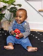 Baby Einstein Roxy's Bright Flight™ музикална играчка 3m 1 бр.