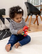 Baby Einstein Roxy's Bright Flight™ музикална играчка 3m 1 бр.