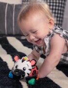 Baby Einstein Zen the Zebra™ Curious Car кола с дрънкалка 3 m+ 1 бр.