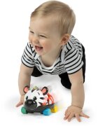 Baby Einstein Zen the Zebra™ Curious Car кола с дрънкалка 3 m+ 1 бр.