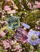 Banderas Queen of Seduction Lively Muse тоалетна вода за жени 80 мл.