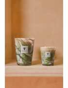 Baobab Collection Leaves Marius ароматна свещ 1000 гр.