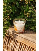 Baobab Collection My First Baobab À Saint-Tropez ароматна свещ 190 гр.
