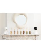 Baobab Collection My First Baobab Brussels aроматизиращ дифузер с пълнител 250 мл.