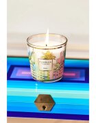 Baobab Collection My First Baobab Miami ароматна свещ 190 гр.