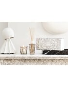 Baobab Collection My First Baobab Platinum подаръчен комплект