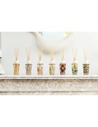 Baobab Collection My First Baobab Roma aроматизиращ дифузер с пълнител 250 мл.