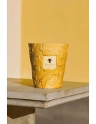 Baobab Collection Paz Dove ароматна свещ 1000 гр.