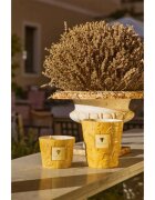 Baobab Collection Paz Dove ароматна свещ 1000 гр.