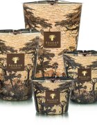 Baobab Collection Sacred Trees Mankono ароматна свещ 1100 гр.