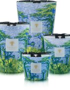 Baobab Collection Sacred Trees Yarani ароматна свещ 500 гр.