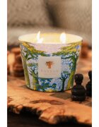 Baobab Collection Sacred Trees Yarani ароматна свещ 500 гр.