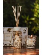 Baobab Collection Tomorrowland подаръчен комплект 1 бр.