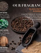Baylis & Harding Black Pepper & Ginseng подаръчен комплект метална кутия за мъже