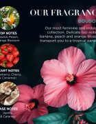 Baylis & Harding Boudoire Tropical Paradise подаръчен комплект