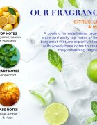 Baylis & Harding Men's Citrus Lime & Mint подаръчен комплект за мъже