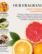 Baylis & Harding Sweet Mandarin & Grapefruit подаръчен комплект за тяло