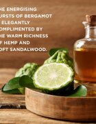 Baylis & Harding The Fuzzy Duck Bergamot Hemp & Sandalwood коледен подаръчен комплект за мъже