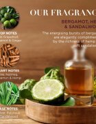 Baylis & Harding The Fuzzy Duck Bergamot Hemp & Sandalwood подаръчен комплект за мъже