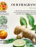 Baylis & Harding Wellness. Energise подаръчен комплект Ginger Lime & Basil Leaf