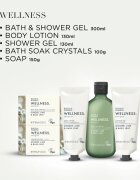 Baylis & Harding Wellness. Energise подаръчен комплект Ginger Lime & Basil Leaf
