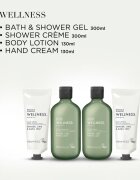 Baylis & Harding Wellness. Energise подаръчен комплект за тяло Ginger Lime & Basil Leaf