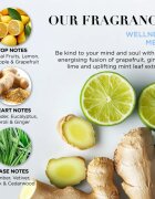 Baylis & Harding Wellness. For Men. Revive подаръчен комплект за мъже аромати