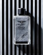 Bentley Momentum Unbreakable парфюмна вода за мъже 100 мл.