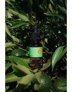 Beviro Bear Oil Summer Line олио за брада Summer Line 30 мл.