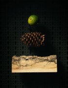Beviro Bergamia Wood масло за бради с аромат на дървесина 30 мл.