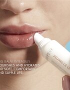 Biotherm Beurre de Lèvres хидратиращ балсам за устни 13 мл.
