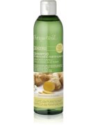 Bottega Verde Zenzero почистващ шампоан за укрепване на косата 250 мл.