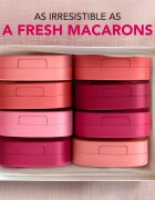 Bourjois Macaron Melt Lip & Cheek Flush руж 2 в 1 цвят 05 Berry Smoothy 5 гр.