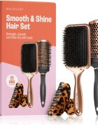 BrushArt Hair Smooth & Shine Hair Set подаръчен комплект За коса