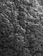 BrushArt Home Salon Konjac sponge нежна ексфолираща гъба за лице Charcoal 5 гр.
