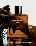 Burberry Hero Eau de Parfum парфюмна вода за мъже 50 мл.