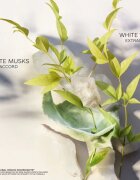 Bvlgari Eau Parfumée Au Thé Blanc подаръчен комплект унисекс