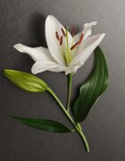 Calvin Klein Eternity for Women парфюмна вода за жени 50 мл.
