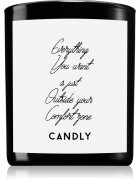 Candly & Co. Everything you want is just outside your comfort zone ароматна свещ 250 гр.