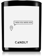 Candly & Co. I wish you were here ароматна свещ 250 гр.