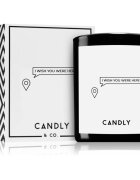 Candly & Co. I wish you were here ароматна свещ 250 гр.