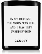 Candly & Co. In my defense ароматна свещ 250 гр.