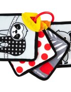 Canpol Babies BabiesBoo Sensory Cards with Teether въртяща се книжка с гризалка 1 бр.
